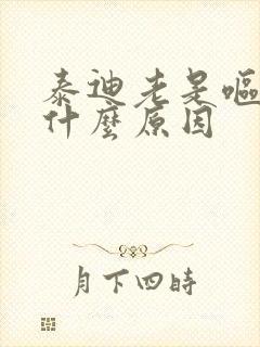 泰迪老是呕吐是什么原因