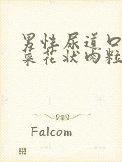 男性尿道口长出菜花状肉粒