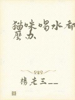 猫咪喝水都吐怎么办