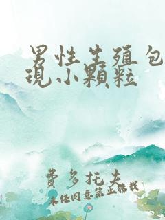 男性生殖包皮出现小颗粒