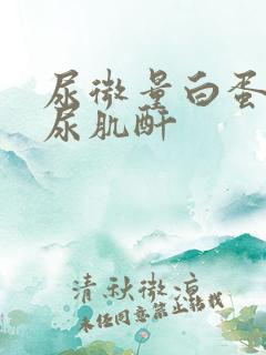 尿微量白蛋白 尿肌酐