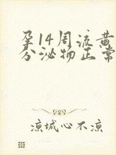 孕14周流黄色分泌物正常吗