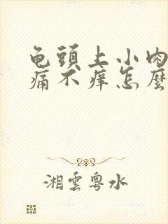 龟头上小肉粒不痛不痒怎么办