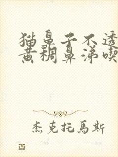 猫鼻子不透气有黄稠鼻涕吃什么药