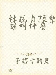 林疏月陆擎渊小说叫什么