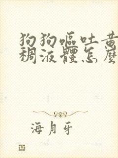 狗狗呕吐黄色粘稠液体怎么办