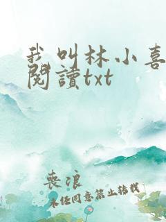 我叫林小喜免费阅读txt