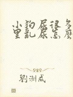 小狗尿很多在家里乱尿怎么办