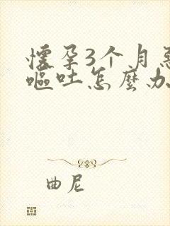 怀孕3个月恶心呕吐怎么办