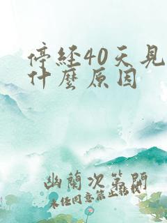 停经40天见红什么原因