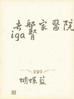 去哪家医院治疗iga肾