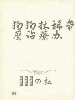 狗狗拉稀带血怎么治疗办