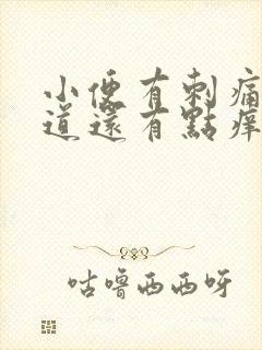 小便有刺痛感阴道还有点痒是怎么回事