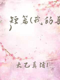 短篇(我的岳母)