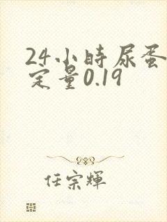 24小时尿蛋白定量0.19