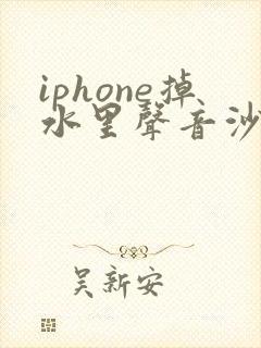 iphone掉水里声音沙哑怎么办