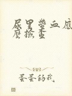 尿里带血应做什么检查