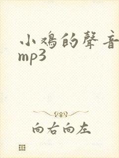 小鸡的声音音效mp3