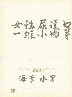 女性尿道口长了一堆小肉芽