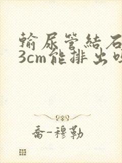 输尿管结石0.3cm能排出吗