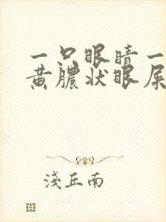 一只眼睛一直出黄脓状眼屎