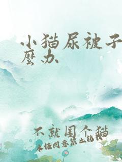 小猫尿被子上怎么办