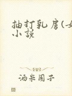 抽打乳房(女)小说