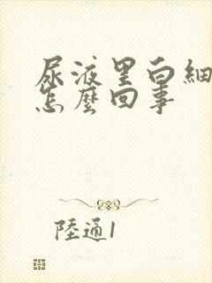 尿液里白细胞高怎么回事