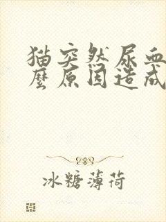 猫突然尿血是什么原因造成的