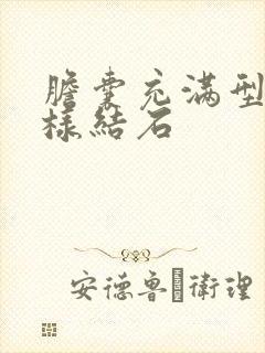 胆囊充满型泥沙样结石