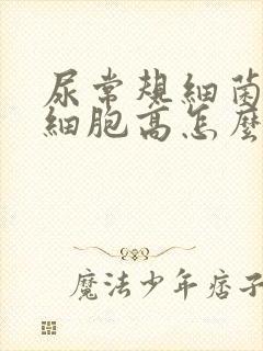 尿常规细菌和白细胞高怎么回事