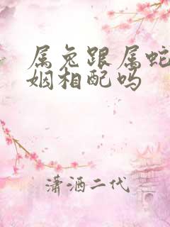 属兔跟属蛇的婚姻相配吗