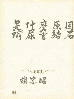 是什么原因引起输尿管结石