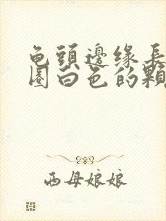 龟头边缘长了一圈白色的颗粒