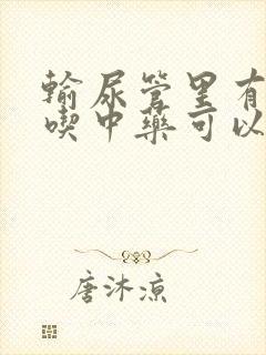 输尿管里有结石吃中药可以排出来吗