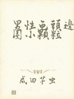 男性龟头边缘一圈小颗粒