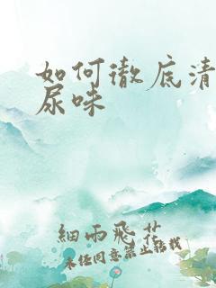 如何彻底清除猫尿味