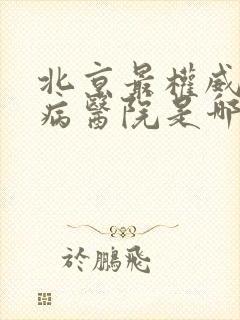 北京最权威的肾病医院是哪一个