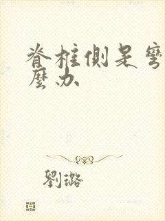 脊椎侧是弯的怎么办