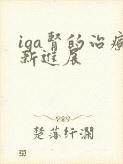 iga肾的治疗新进展