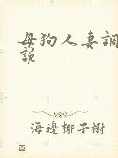 母狗人妻调教小说