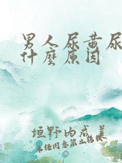 男人尿黄尿臭是什么原因