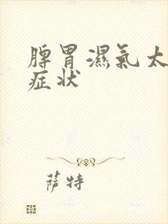 脾胃湿气太重的症状