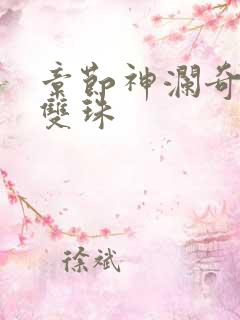 章节神澜奇域无双珠
