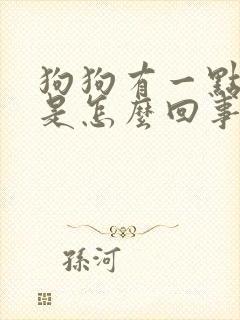 狗狗有一点尿血是怎么回事