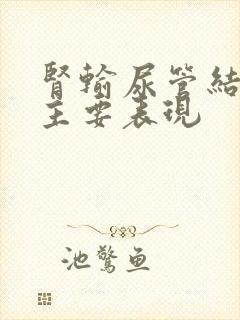 肾输尿管结石的主要表现