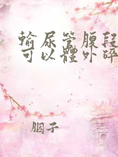 输尿管腹段结石可以体外碎石吗