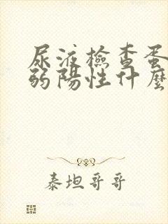 尿液检查蛋白质弱阳性什么意思