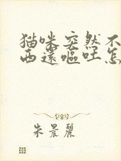 猫咪突然不吃东西还呕吐怎么办