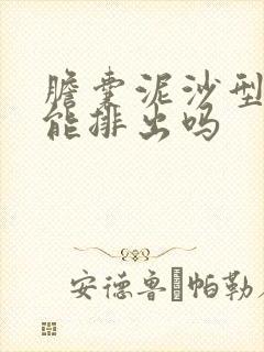 胆囊泥沙型结石能排出吗